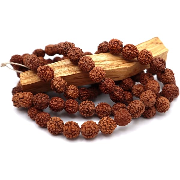 Zap Impex Rudraksha Mala 5 Mm - Collana Con 108+1 Perle Autentiche - Certificato Originale - Per Meditazione E Preghiera - Marrone