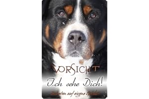 Nanyuk +++ Großer Schweizer Sennenhund - Metall Warnschild Schild Hundeschild Sign - GSS 01 T5