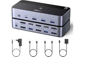 UGREEN Switch KVM DisplayPort 2 Entrées 2 Sorties 8K 60Hz 4K 240Hz Double Affichage Commutateur KVM avec 4 Ports USB 3A1C 5Gbps pour Clavier Souris Disque Dur Contrôleur de Bureau Câbles USB Inclus