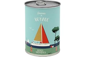 MAUVAISESGRAINES-KITS À SEMER Mauvaises Graines - Kit de Fleurs à Semer en Boîte - Kit de Voyages Cadeau Original Amis Famille Fêtes - Ultra Simple à Utiliser - 100% Fabriqué en France (Yéyé Voyage)