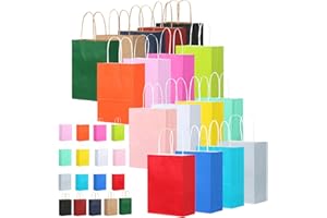 rokrist 17 Pièces Sac Cadeau Multicolores en Papier Kraft avec Poignées, Sacs cadeaux en Papier de Haute Qualité, pour les Fêtes de Noël,Mariages,Anniversaires,Célébrations,Bonbons,DIY(21x15x8cm)