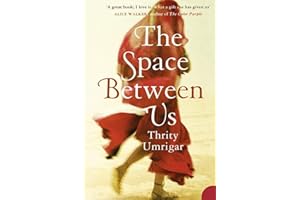 The Space Between Us: A powerful contemporary literary historical fiction novel exploring timeless themes