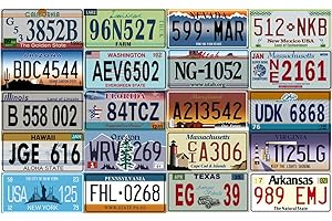 OPO 10 - Set of 20 USA Metal Car License Plates - Replicas of Real American Plates (V1 + V2)