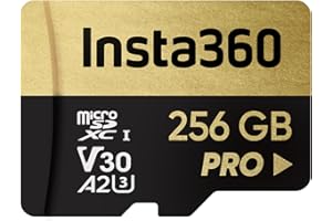 Insta360 Scheda di memoria da 256 GB