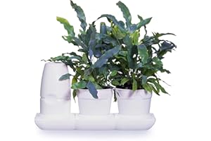minigarden Basic S Pots, Un Kit de Démarrage Innovant pour Le Jardinage Léger équipé d’Un Système d'Auto-Arrosage et Nutrition. Idéal pour Les Rebords de Fenêtres, Plateaux de Tables (Blanc)