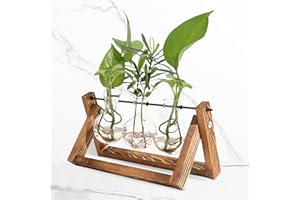 Acboor Tubos de ensayo con soporte, jarrón de flores vintage pequeños jarrones para decoración de mesa, tubos de ensayo de cristal modernos para flores, madera, estación de propagación para salón,