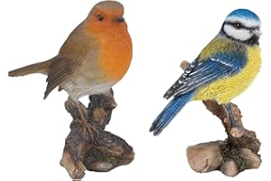Vivid Arts British Birds Oiseaux décoratifs pour maison ou jardin Rouge-gorge et mésange bleue