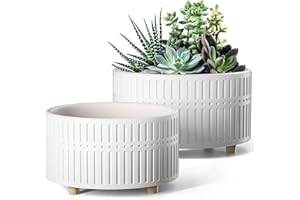 LE TAUCI Doniczka na sukulenty, 16,5 + 20 cm, ceramiczna, z otworami drenażowymi, nowoczesna, cylindryczna, dekoracyjna doniczka bonsai, prezent dla mamy, zestaw 2 szt., biała