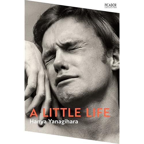A Little Life: The Million-Copy Bestseller