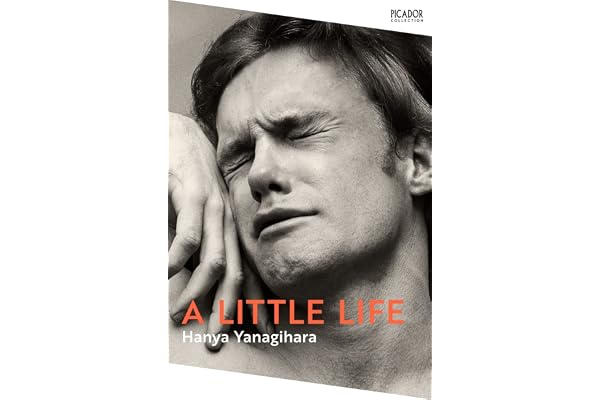 A Little Life: The Million-Copy Bestseller
