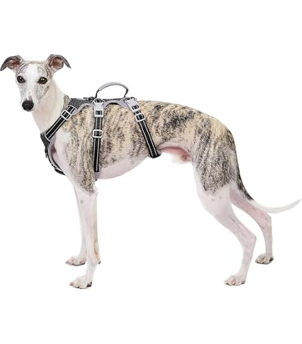 Harnais De Sécurité Trixie L-XL - Pour Chien Peureux - Taille 75-100cm - Néoprène - Noir