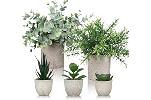 Cnwinu 5 sztuk sztucznych roślin w doniczce, sztuczne rośliny jak prawdziwe, do wnętrz, sztuczna roślina do dekoracji stołu, kuchni, domu, na balkon, do biura, na biurko, dekoracja wnętrz