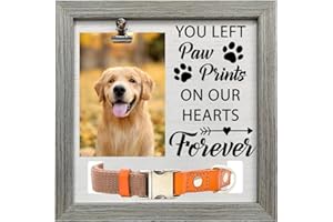 FINGERINSPIRE Pet Memorial Picture Frame 23x23cm You Left Paw Prints on Our Hearts Forever Pet Picture Frames with Photo Clip & Collar Holder Wood Memorial Gifts Frame for Dogs Cat Pets that Passed