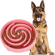 Ciotola Slow Feeder Per Cani | Anti-Traversa | Design A Spirale | Plastica PP Sicura | Diametro 24,4 Cm - Foto 7
