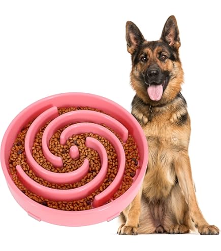 Ciotola Anti Ingozzamento Mobiclinic Per Cani - Base Antiscivolo, Forma A Spirale, 500 Ml - Benessere Digestivo - Foto 13