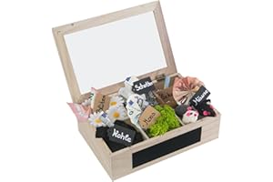 SURPRISA Schotter Schatulle 6er - kreative Verpackung für Geldgeschenke und persönliche Geschenkbox zum Geburtstag oder zur Hochzeit - Paulownienholz