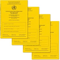 Welsberg 2 Carnets De Vaccination Internationaux - Édition 2021 Trilingue (DE/EN/FR) - 19 Pages Avec COVID - Format Passeport