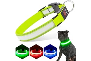PZRLit Light Up Dog Collar Light Rechargeable, Fully Adjustable LED Dog Collar Waterproof, 3 Flashing Modes Glow Dark Dog Collars for Night Walking for Medium Large Dogs
