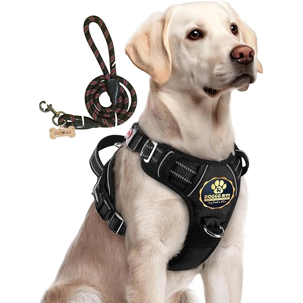 Tug Leash Poochbark In Dog Harness With Built-in