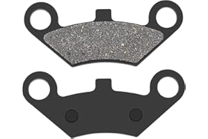 Road Passion Bremsbeläge Vorne für C F MOTO Terralander 625 (Quad) (CF 625 B/C) 2010-2011