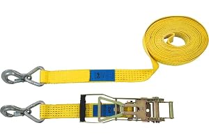 Petex 43193119 spärrband 2-delad, 10 m, 50 mm, 2500/5000 daN, karbinhake, råttor 35 cm