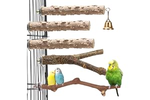 Honicemar 5 PCS Perchoirs en Bois pour Cage à Oiseaux Perroquets Perchoirs Jouets Oiseaux pour Petits et Moyens Perroquets, Favorise l’Exercice et la Santé Mentale