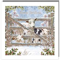 Marie Curie Weihnachtskarten – 5 Stück Mit Igel-Motiv, Metallisiertem Finish, 140x140 Mm, Umweltfreundlich