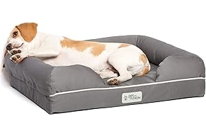 PetFusion Ultimate Solid 2,5 "Memory Foam Haustierbett für kleine Hunde und Katzen (25 x 20 x 5,5" orthopädische Sofacouch; grau). Ersatzabdeckungen und Decken sind ebenfalls erhältlich