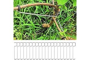 ZYNCUE Branch Spreader, 20PCS Stainless Steel Fruit Tree Branch Limb Spreader For Garden(16T)