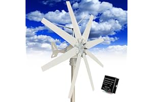 Fablestoryem Generatore Eolico 14000W DC 12V/24V/48V/110V/220V con 8 Pale Kit Turbina Solare con Controller Ibrido per Integrazione Energetica Domestica