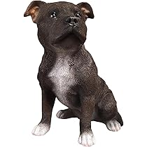 Vivid Arts - Staffordshire Terrier Brindle - XRL-STF4-D : Amazon