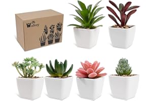 WOLTOY 6 Piezas Plantas Artificiales Decorativas Pequeñas Planta Artificial Pequeña Plantas Artificiales Realistas Decoracion Hogar Decorativas Plantas Falsas Para El Hogar Baño Oficina Mesa Dormitorio