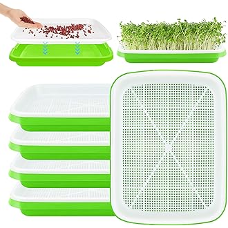 Kit Coltivazione Germogli - 5 Ciotole Per Semi, Senza Terreno, Per Fagioli Mung, Erba Di Grano E Microgreens - Foto 9