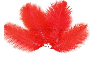LITTLE SNOW DIRECT 10PCS Ostrich Feathers Plumes Fluffy 6-8 Inches Long - Red