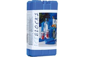 CARPOINT 0510250 Wkład Chłodzący do Lodówki, 200 g, 2 Sztuki