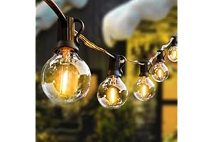 AVANLO LED Outdoor String Lights, 30FT Garden String Lights Mains Powered, Festoon Lights with 16+1 Bulbs for Indoor & Outdoor Décor Wedding Patio Cafe Party
