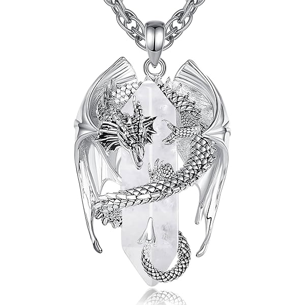 JewelryWe Bijoux Pendentif Dragon Collier Homme Gothique Chaîne 55cm Acier Inoxydable pour Homme Garçon Fantaisie avec Sac Cadeau