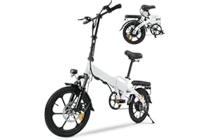 Finbike 250W Bici Elettrica Pieghevole, Bicicletta Elettrica A Pedalata Assistita, 280.8WH Batteria, Autonomia Di 70km, Facile Da Montare, Manubrio/sella Regolabile In Altezza, 3 Modalità Di Guida