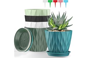 5 Piezas Macetero con Plato, 12.6CM Maceta Redonda de Plástico con 5 Etiquetas, Macetas con Platillo de Agujeros de Drenaje Maceteros Decorativos Interior para Balcón, Interior, Jardín (Multicolor)