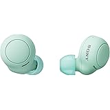 Sony WF-C500 | Cuffie True Wireless, Batteria fino a 24h e Ricarica Rapida, Resistenza IPX4, Compatibile con iOS, Android, PC