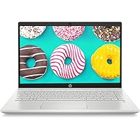 HP Pavilion 10th Gen Intel Core i5 14-Inch FHD Laptop(8GB/256GB SSD + 1TB HDD/Win10/MS Office/Natural Silver/1.59 Kg…