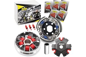 ‎AREA1 Area1 Tuning Variomatik + Tuning Kupplung kompatibel mit Speedfight 1, Speedfight 2 Elyseo Elystar Vivacity Trekker Gipsy Buxy Squab TKR SV Splinter X8RS SXR SFX Shaddow Bali Sky