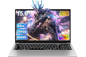 RUZAVA Ordinateur Portable 15,6 Pouces 4 cœurs Celeron N5095(jusqu'à 2,9 GHz)Win11 8+256GB SSD Extension 1TB, PC Portable 5G WiFi BT4.2 HDMl USB 3.0 avec Souris sans Fil & AZERTY Clavier Couverture-Argenté