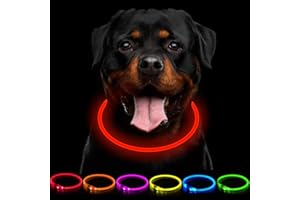 CCWW LED Leuchthalsband Hunde Halsband USB wiederaufladbar - Längenverstellbarer Haustier Sicherheit Kragen für Hunde und Katzen- 3 Modus