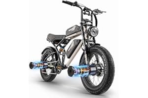 HANEVEAR Bici Elettrica Uomo, Bicicletta Elettrica da Doppio Motore 160NM | 2*18Ah 48V Batteria al Litio, Fat Bike Elettrica Off-roade Cambio 7 Velocità e Sospensione Completa, 20 Pollici Ebike per Adulti