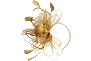 SJTJSPX Fascinator Chapeau Femme Fille Chapeau Bibi Accessoires Cheveux Maille Filet Chapeau Mariage Elegant Voile Bandeau Clip Serre-tête Mariée Chapeaux de Église Tea Party Cocktail Royal Ascot