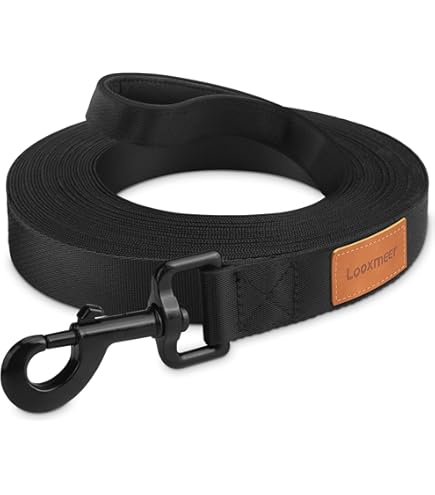 Mikihat Longe Pour Chien, 10m Laisse Chien Dressage Longue, Laisse De