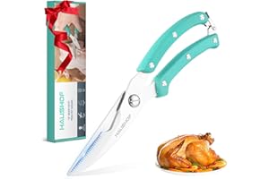 HAUSHOF Poultry Shears 255 mm, Heavy Duty Stainless Steel Sharp Kitchen Scissors, Cooking Scissors for Meat, Chicken, Fish, Bone, Vegetables