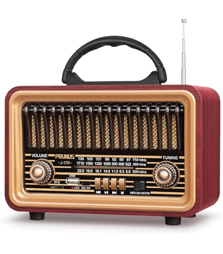 COLSUR Retro Bluetooth Speaker, Portable FM Radio, Rechargeable, Wireless, Classic Retro Style, Supports TF Card/AUX/USB MP3 Player, 1500mAh Battery