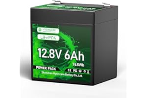 HYSINCERE 12V 6Ah LiFePO4 Lithium Batterie mit 10A BMS-Schutz, Intelligent Wiederaufladbare Akku 3000+ Deep Cycle für Wohnmobile, Notstrombeleuchtung, Camping, Fischfinder, Rasenmäher, Solarpanel